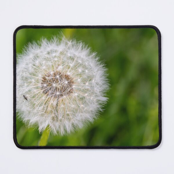 Item preview, Dandelion and Tiny Visitor designed and sold by Rabee Khalil Photography.
