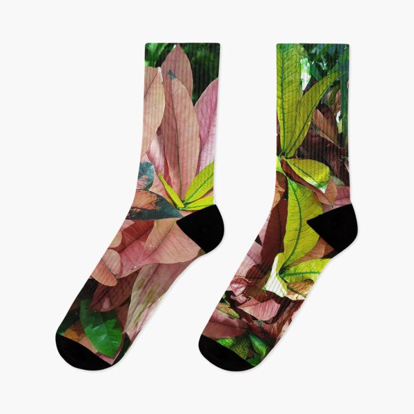 Item preview, Colorful Codiaeum Variegatum - Garden Croton designed and sold by LinkFamilyStore.
