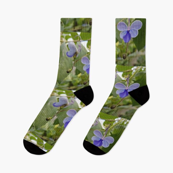 Item preview, Rotheca myricoides, also known as Blue butterfly bush designed and sold by LinkFamilyStore.