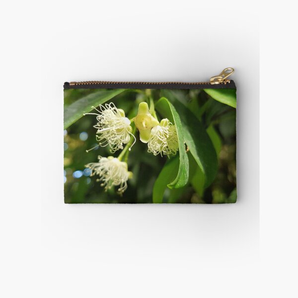 Item preview, Flowers of Syzygium aromaticum, commonly known as clove flowers designed and sold by LinkFamilyStore.