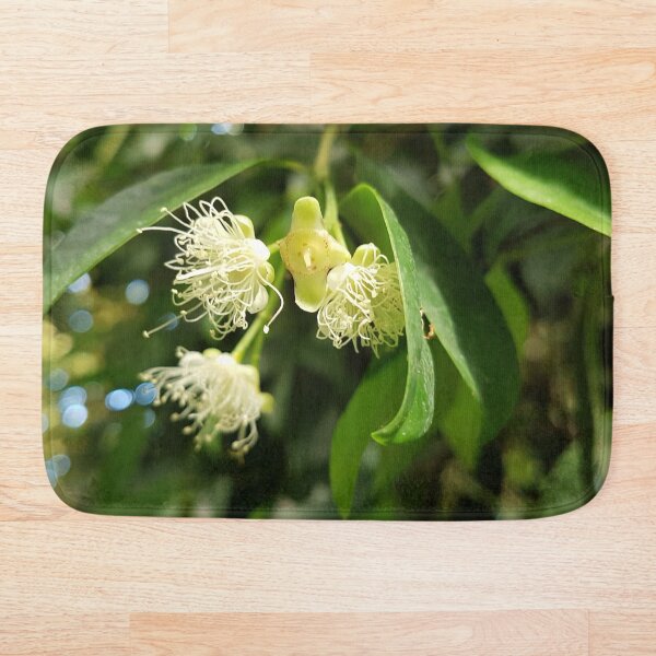 Artikelvorschau, Blüten von Syzygium aromaticum, allgemein bekannt als Nelkenblüten entworfen und verkauft von LinkFamilyStore.
