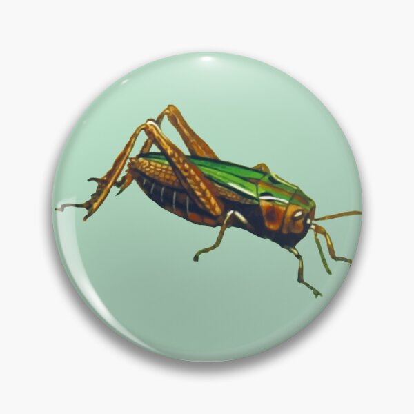 Item preview, Insect spotting planner designed and sold by BritishDelights.