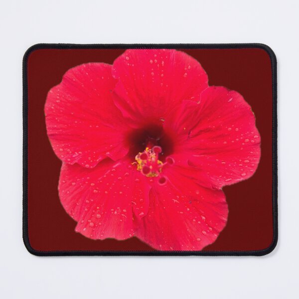 Item preview, Hibiscus designed and sold by Cuitcuit23.