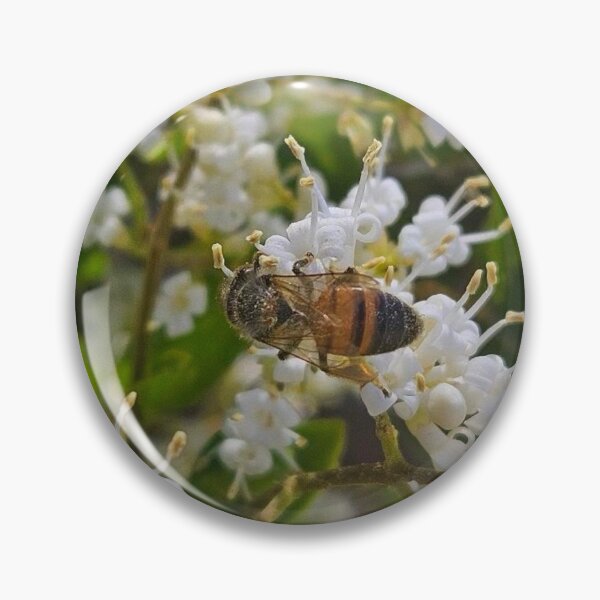 Item preview, Honeybee  designed and sold by Courtney Croxall.