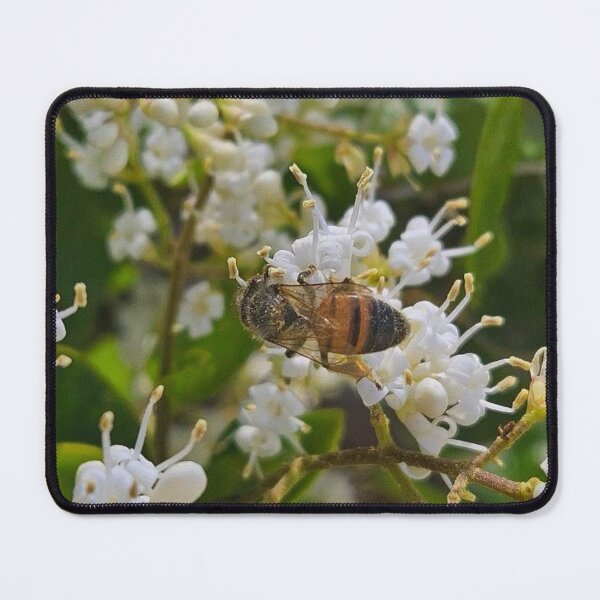 Item preview, Honeybee  designed and sold by Courtney Croxall.