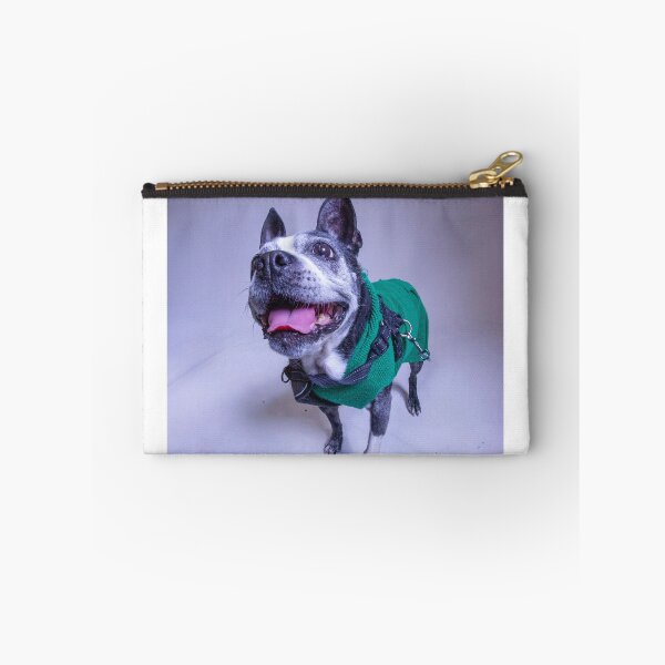 Aperçu de l'œuvre Boston Terrier créée et vendue par brianna7803.