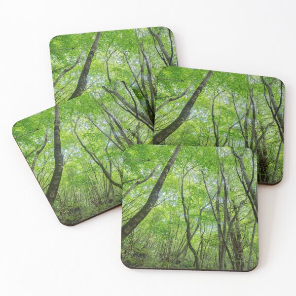 Item preview, Emerald Canopy – Into the Heart of the Living Forest designed and sold by clipboxjp.