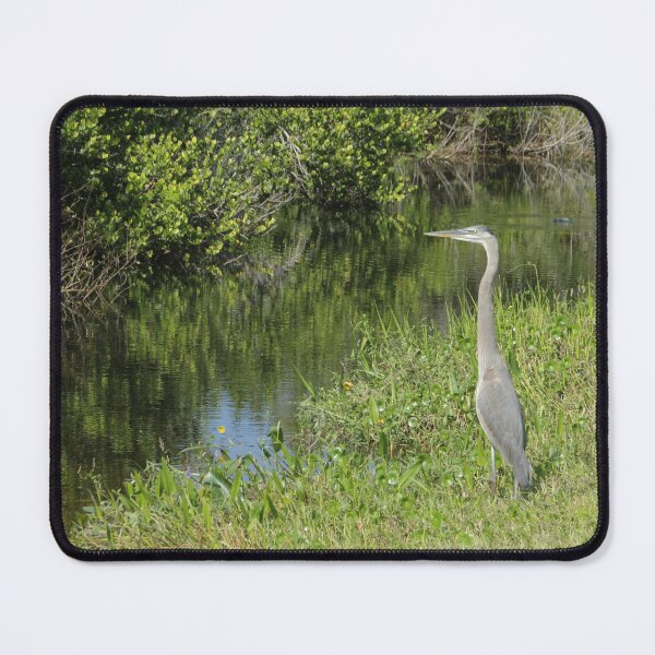 Item preview, Crane Pose designed and sold by MatthewThomasDaniels.