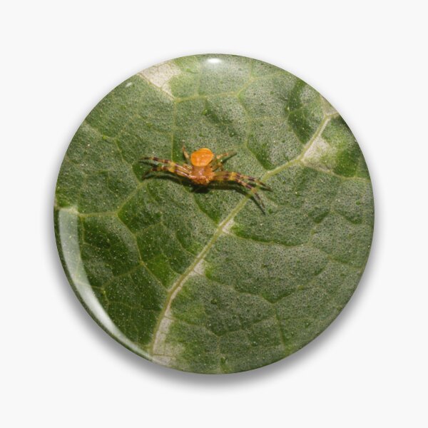 Item preview, Northern Crab Spider designed and sold by ROSE ANN BANILAR.
