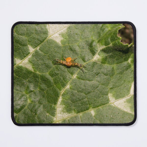 Item preview, Northern Crab Spider designed and sold by ROSE ANN BANILAR.