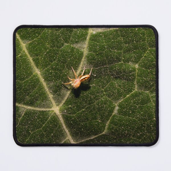 Item preview, Lynx spider designed and sold by ROSE ANN BANILAR.