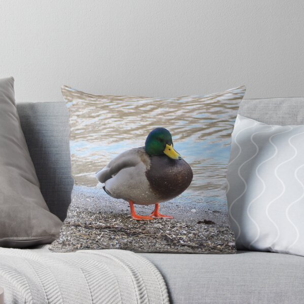 Item preview, A Mallard Duck Standing On a Beach designed and sold by BackyardBirder.