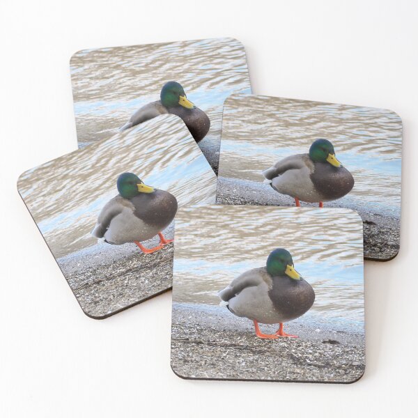 Item preview, A Mallard Duck Standing On a Beach designed and sold by BackyardBirder.