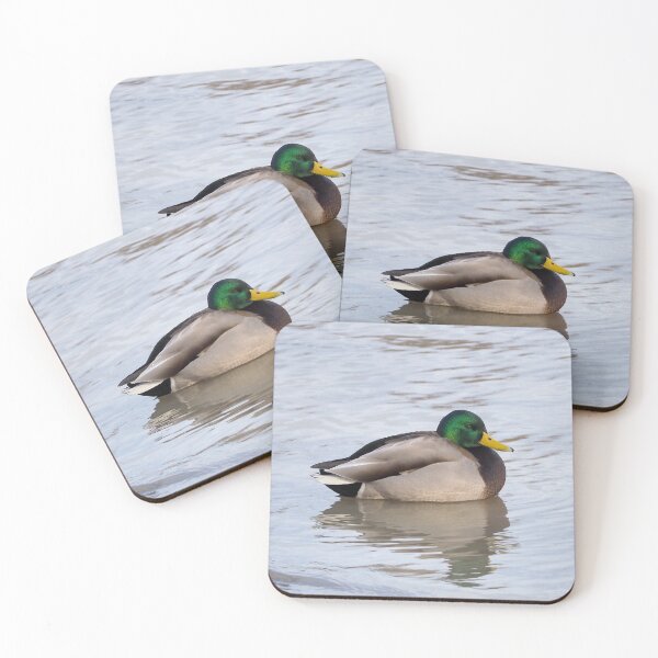Item preview, A Mallard Duck Resting In The Water designed and sold by BackyardBirder.