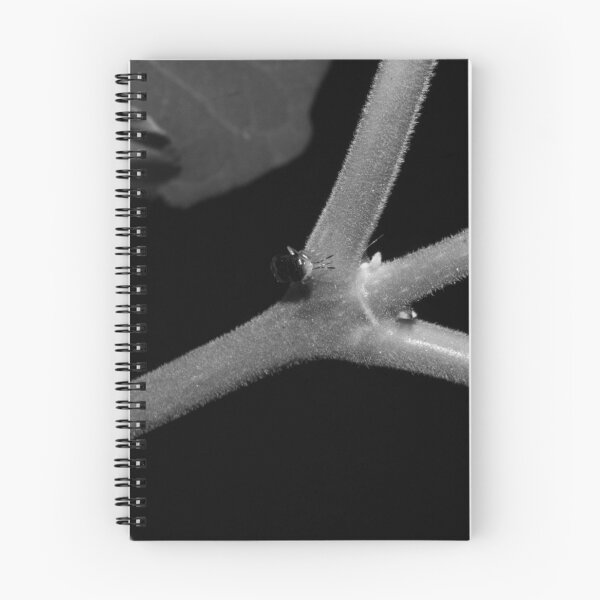 Item preview, B&W - Aphid designed and sold by ROSE ANN BANILAR.