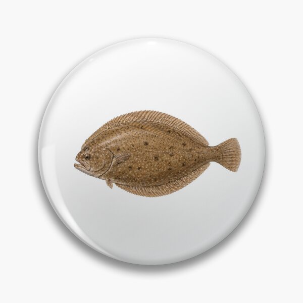 Item preview, Petrale Sole – Ocean Fish Design designed and sold by Combat Skies.