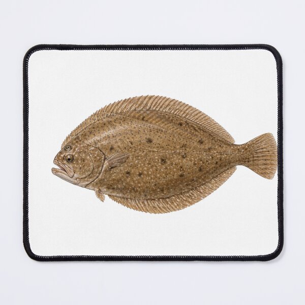 Item preview, Petrale Sole – Ocean Fish Design designed and sold by Combat Skies.