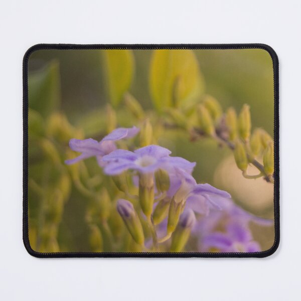 Item preview, skyflower designed and sold by ROSE ANN BANILAR.