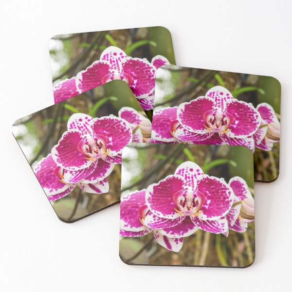 Item preview, Pink Phalaenopsis Orchids designed and sold by Ross.A.Campbell.