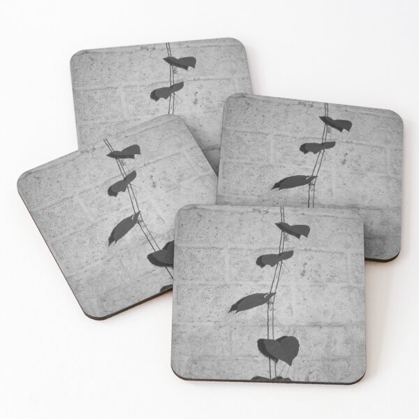Item preview, B&W - Vines on Wall designed and sold by ROSE ANN BANILAR.