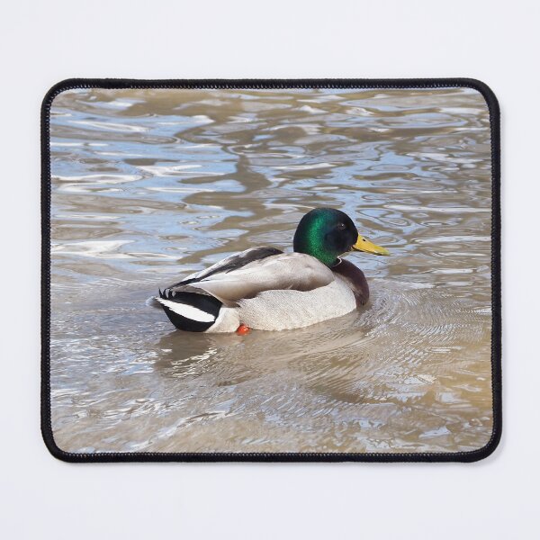 Item preview, A Happy Duck Resting and Staring designed and sold by BackyardBirder.