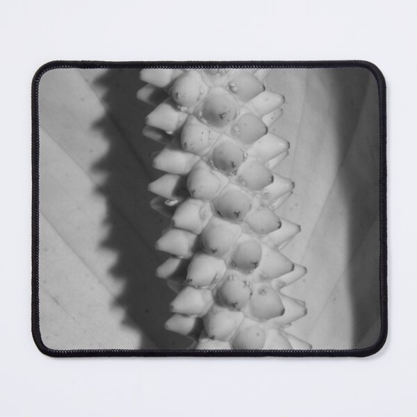 Item preview, B&W - Peace Lily designed and sold by ROSE ANN BANILAR.