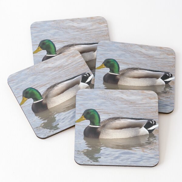 Item preview, A Mallard Duck Swimming In the Water and Staring designed and sold by BackyardBirder.