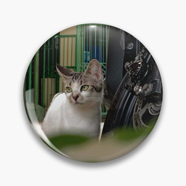 Item preview, Cat photograph designed and sold by Sophiva23.
