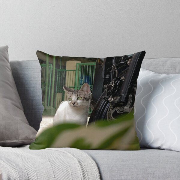Artikelvorschau, Katzenfoto entworfen und verkauft von Sophiva23.