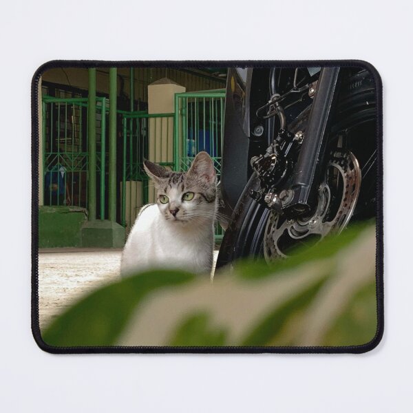 Item preview, Cat photograph designed and sold by Sophiva23.