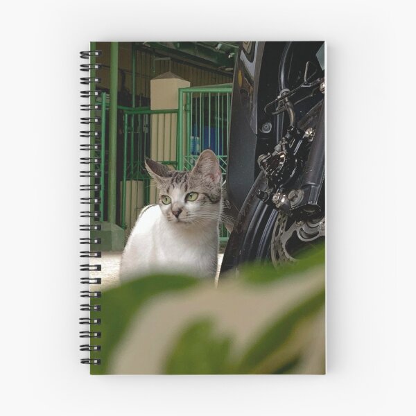 Artikelvorschau, Katzenfoto entworfen und verkauft von Sophiva23.