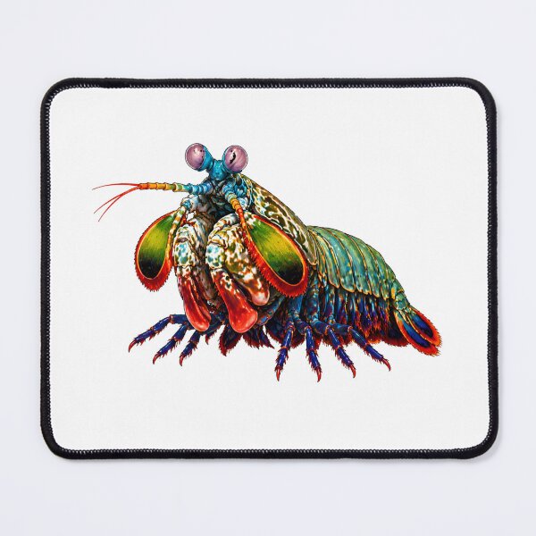 Item preview, Mantis Shrimp – Ocean Predator Design designed and sold by Combat Skies.