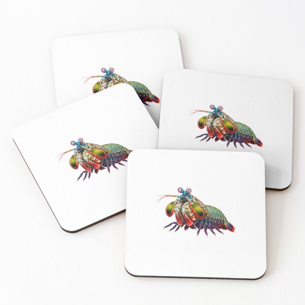 Item preview, Mantis Shrimp – Ocean Predator Design designed and sold by Combat Skies.