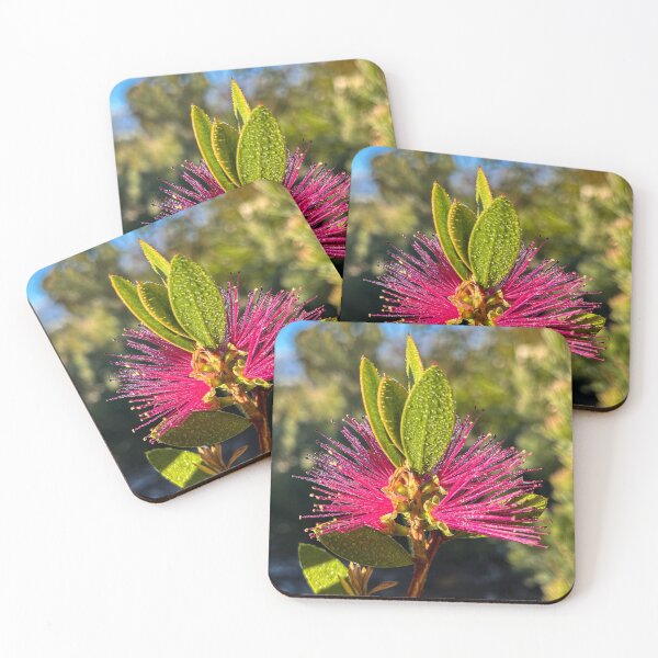 Item preview, Pink Bottlebrush Flower with Dew in Sunlight designed and sold by Be Captured by Brittany Emma.