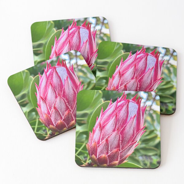 Item preview, Pink Protea Flower Bud with Soft Texture designed and sold by Be Captured by Brittany Emma.