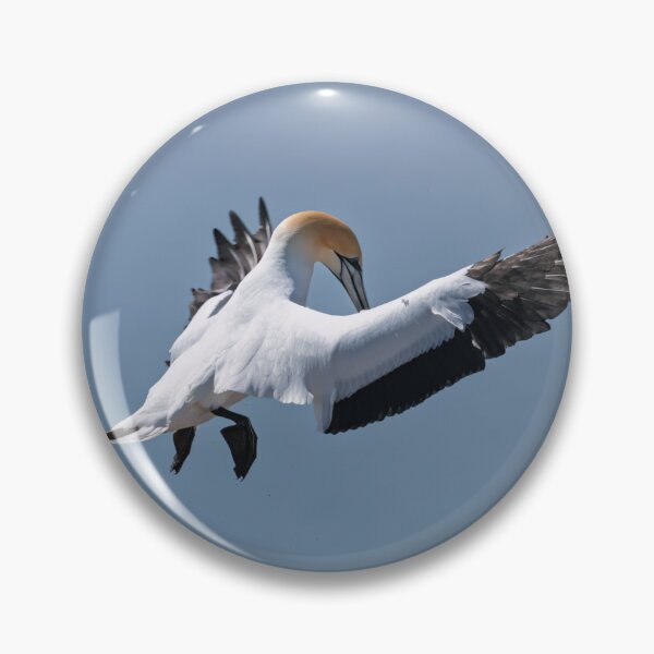 Item preview, Gannet Landing designed and sold by Jan Fijolek.