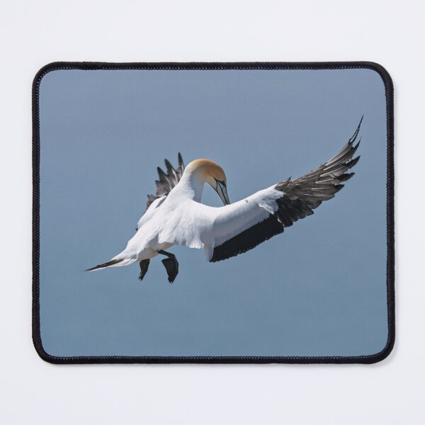 Item preview, Gannet Landing designed and sold by Jan Fijolek.