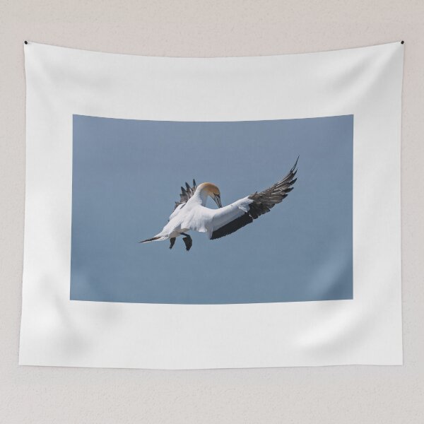 Item preview, Gannet Landing designed and sold by Jan Fijolek.