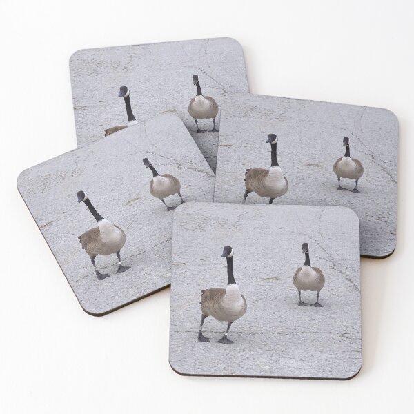 Item preview, Two Canada Geese Out For a Walk designed and sold by BackyardBirder.