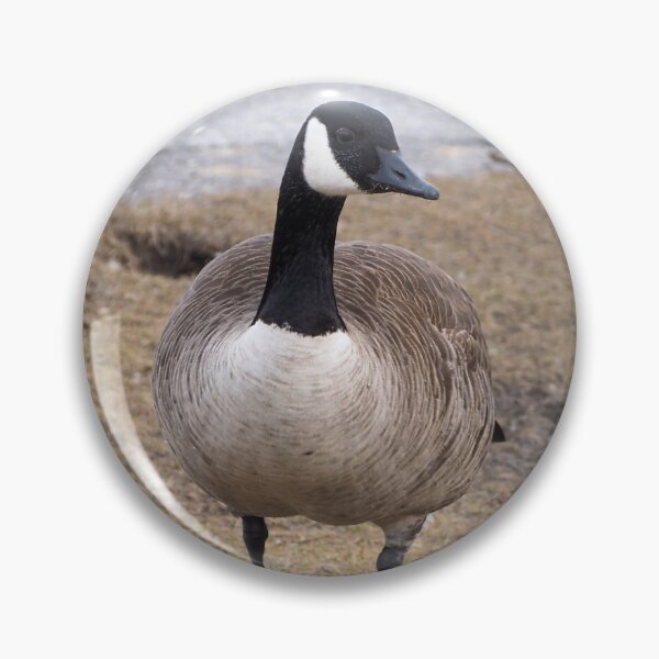 Item preview, Canada Goose Standing designed and sold by BackyardBirder.