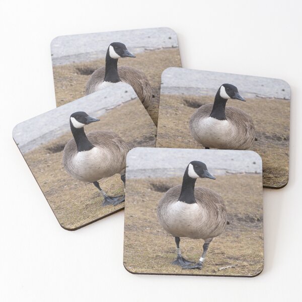 Item preview, Canada Goose Standing designed and sold by BackyardBirder.