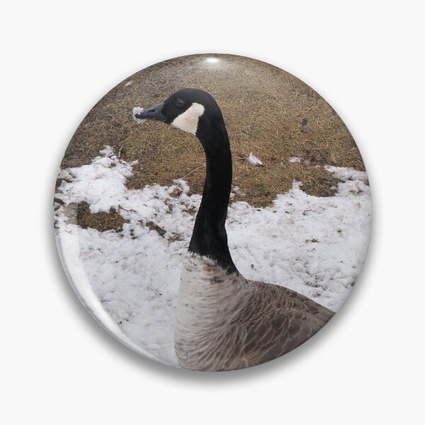 Item preview, A Canada Goose Walking On Snow designed and sold by BackyardBirder.
