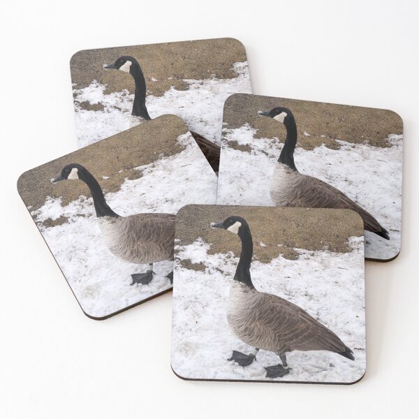 Item preview, A Canada Goose Walking On Snow designed and sold by BackyardBirder.