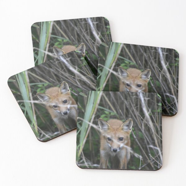 Item preview, Fox poking its head out of the grass designed and sold by JaysUrbanLense.