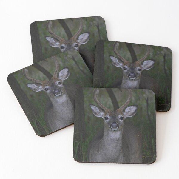 Item preview, Young Buck Posing  designed and sold by JaysUrbanLense.