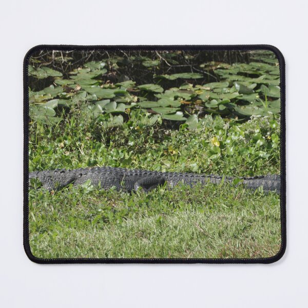Item preview, Gator in the Rough designed and sold by MatthewThomasDaniels.