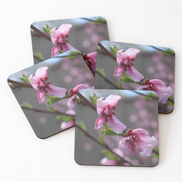 Item preview, Blossoms designed and sold by PipsProducts32.