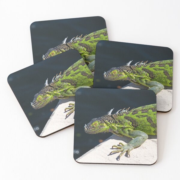 Item preview, Gorgeous Green Iguana designed and sold by HMBPHOTO.