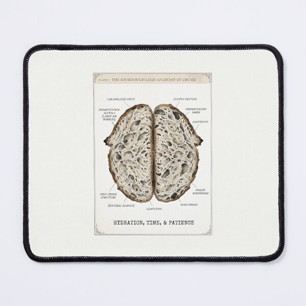 Item preview, Sourdough Loaf Anatomy Botanical Foodie Art designed and sold by SplashTastic.