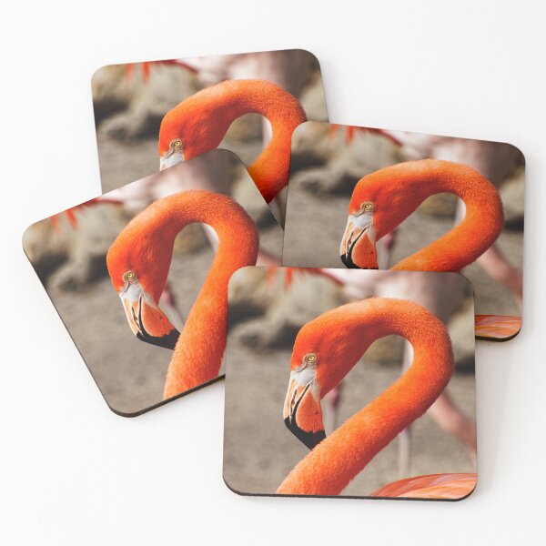 Item preview, American Flamingo designed and sold by HMBPHOTO.